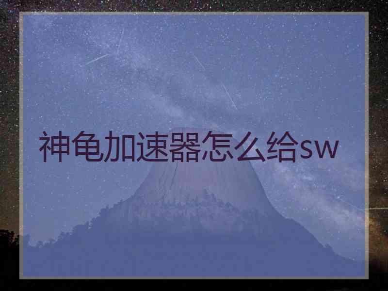 神龟加速器怎么给sw