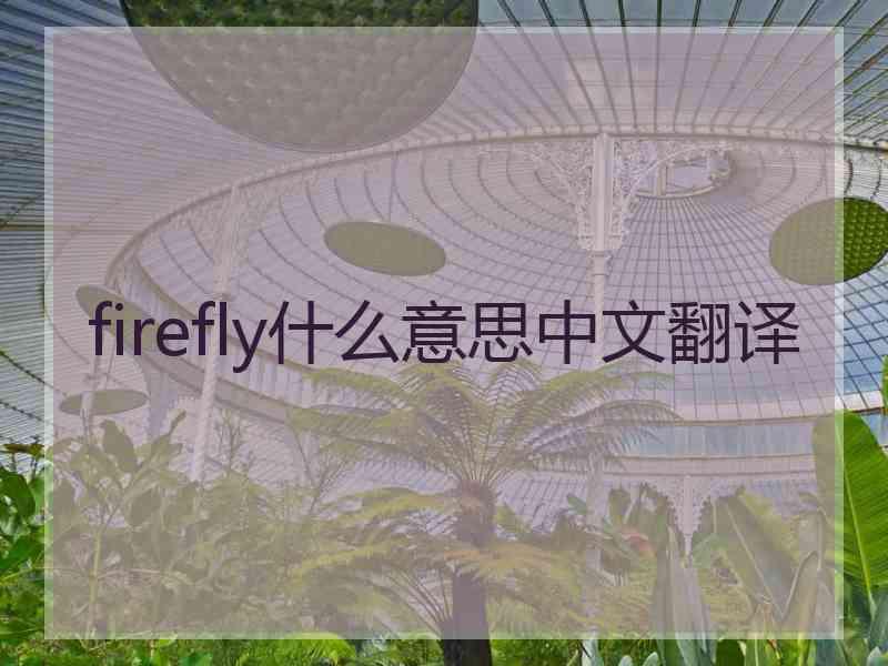 firefly什么意思中文翻译