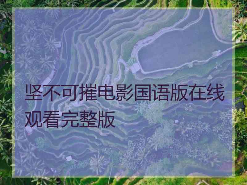 坚不可摧电影国语版在线观看完整版