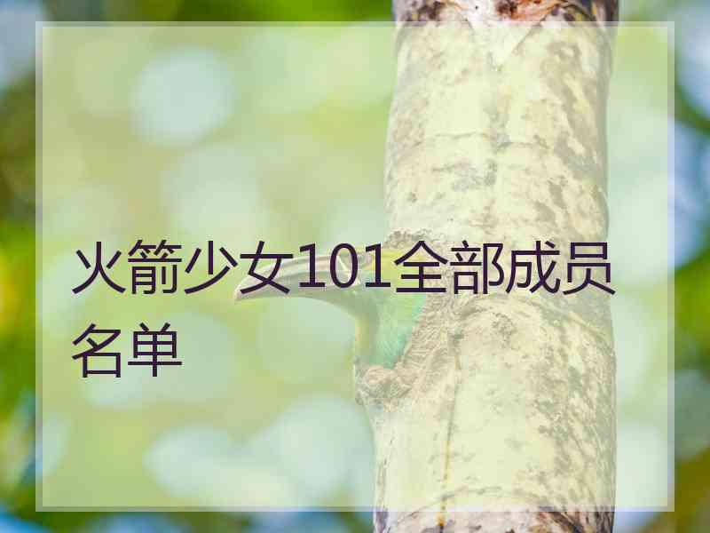 火箭少女101全部成员名单