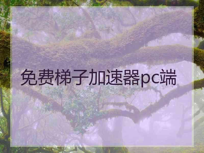 免费梯子加速器pc端