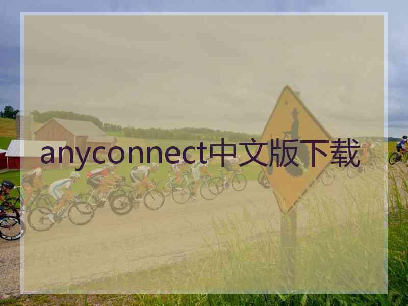 anyconnect中文版下载