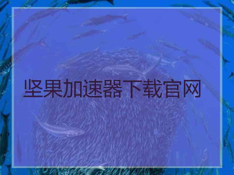 坚果加速器下载官网