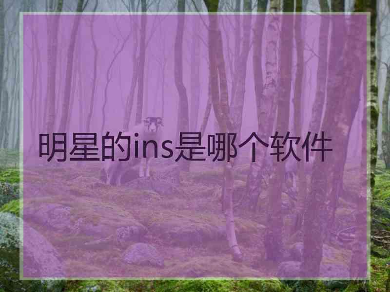 明星的ins是哪个软件