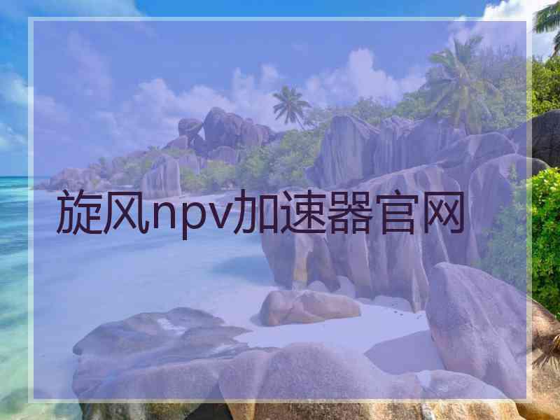 旋风npv加速器官网