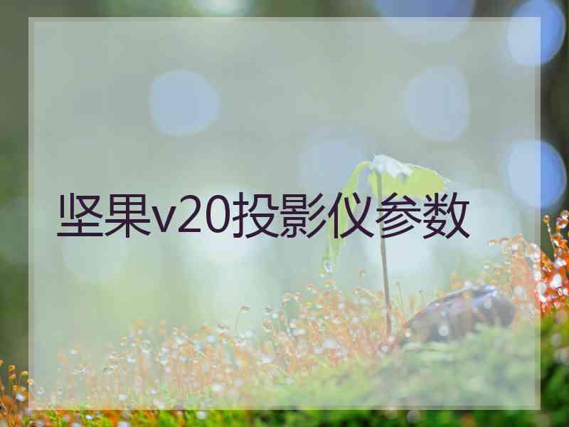 坚果v20投影仪参数