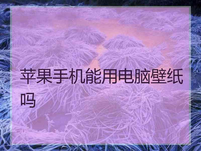 苹果手机能用电脑壁纸吗