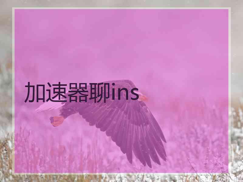 加速器聊ins