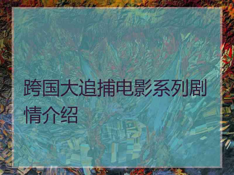 跨国大追捕电影系列剧情介绍