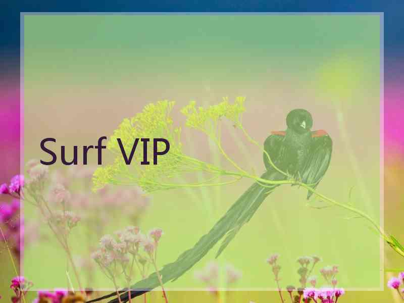 Surf VIP