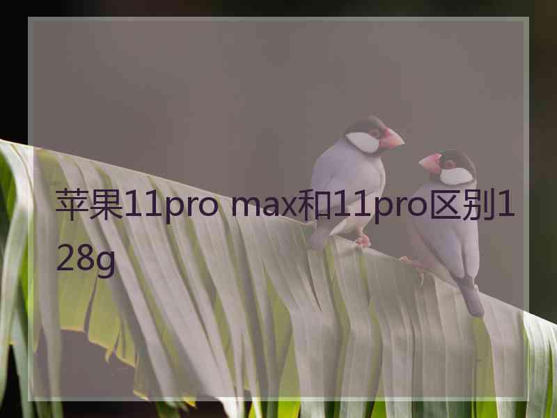 苹果11pro max和11pro区别128g