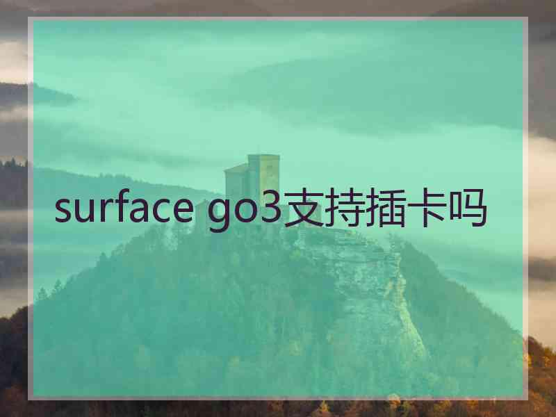 surface go3支持插卡吗