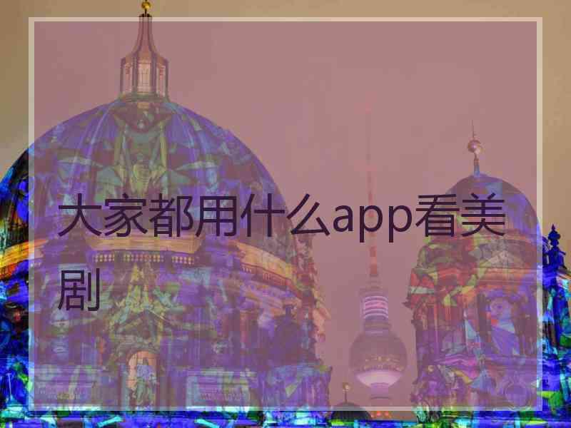 大家都用什么app看美剧