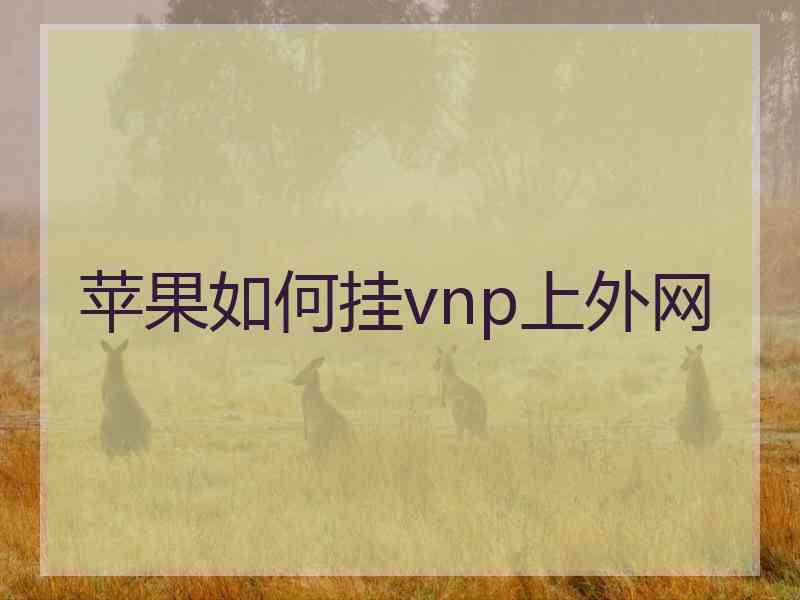 苹果如何挂vnp上外网