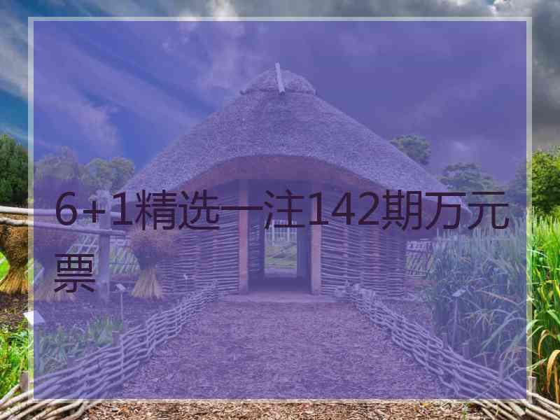 6+1精选一注142期万元票