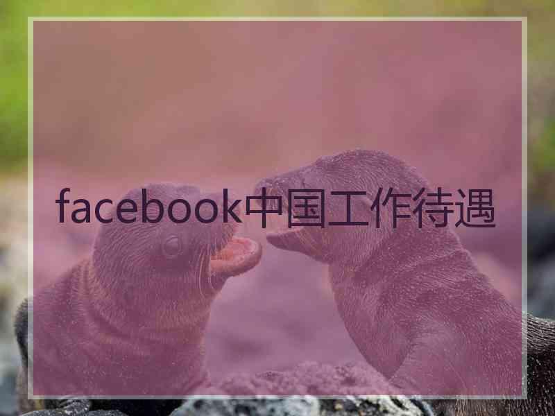 facebook中国工作待遇