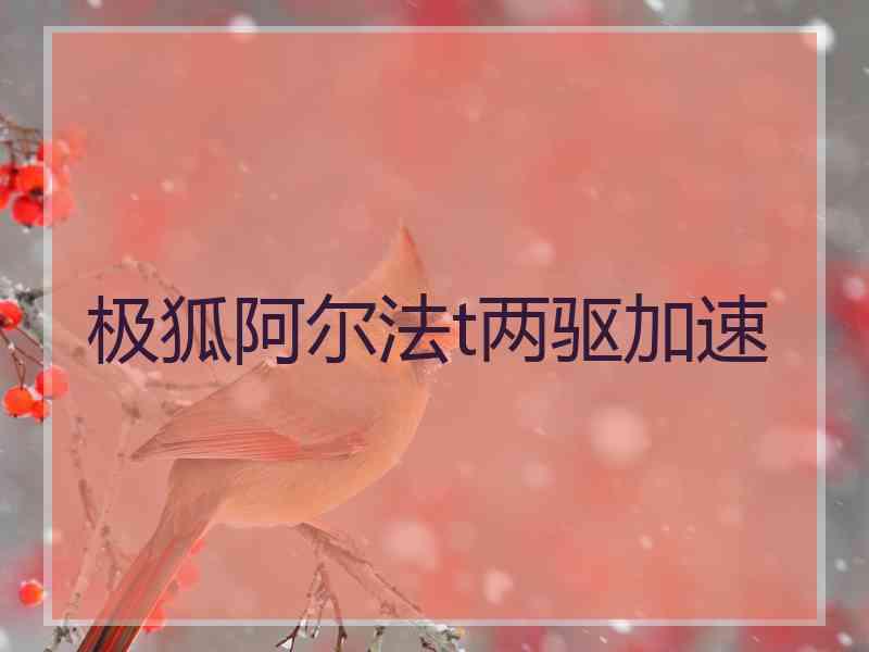 极狐阿尔法t两驱加速