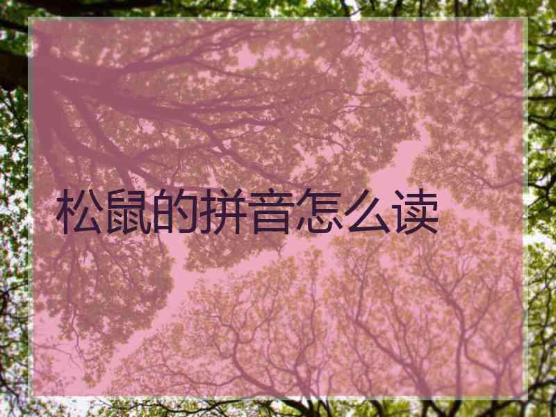 松鼠的拼音怎么读