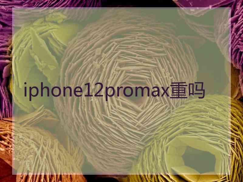 iphone12promax重吗