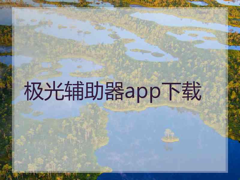 极光辅助器app下载