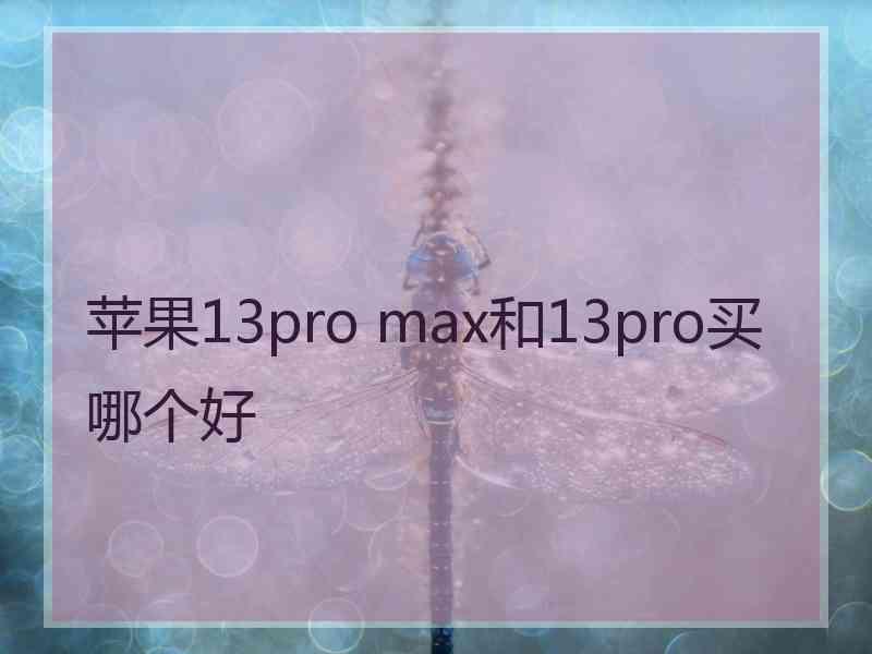 苹果13pro max和13pro买哪个好