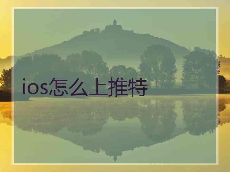 ios怎么上推特