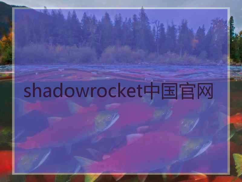 shadowrocket中国官网