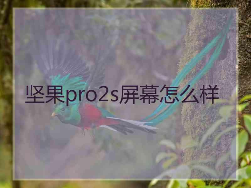 坚果pro2s屏幕怎么样