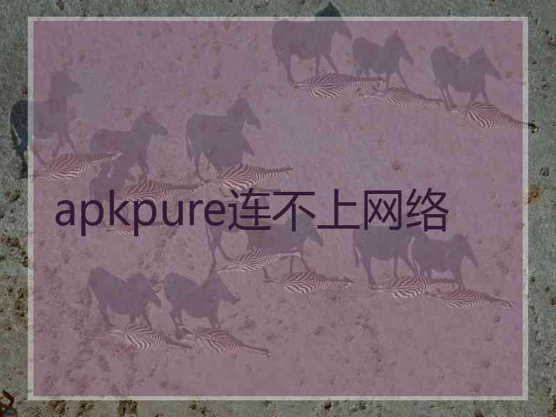 apkpure连不上网络