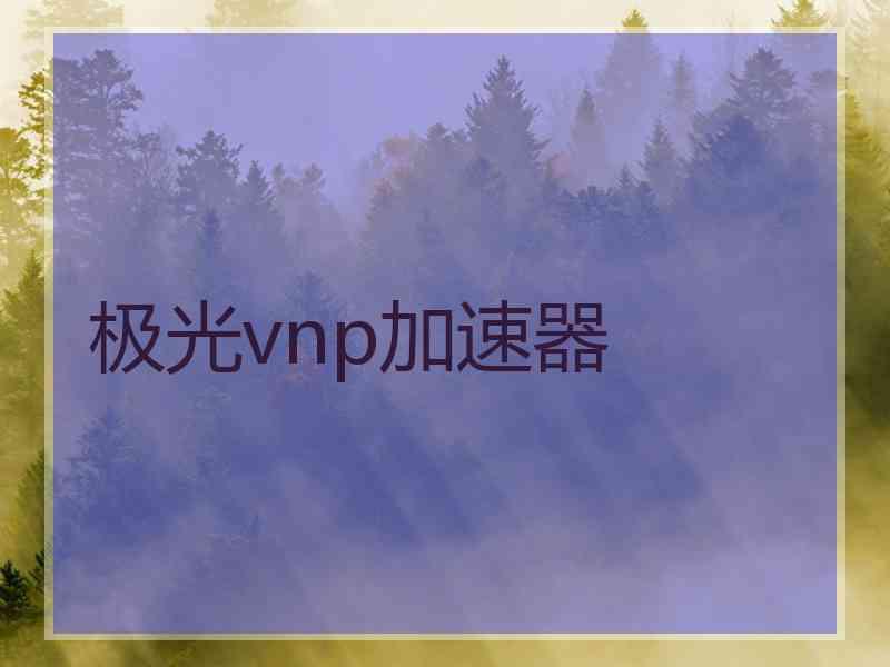 极光vnp加速器