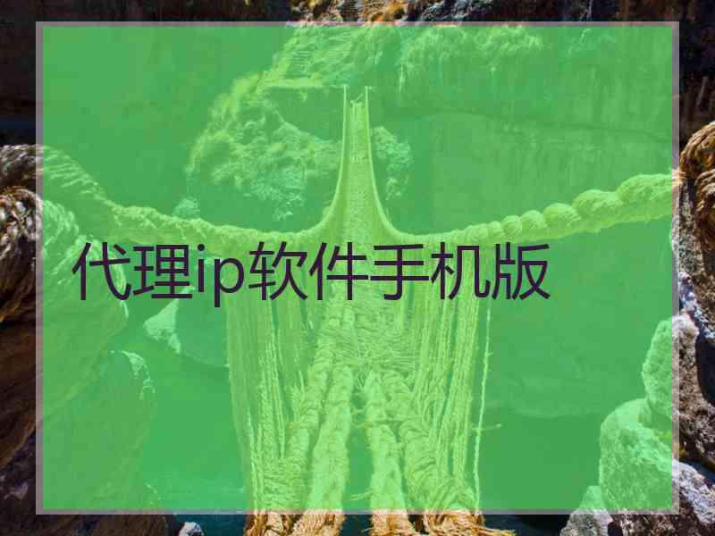 代理ip软件手机版