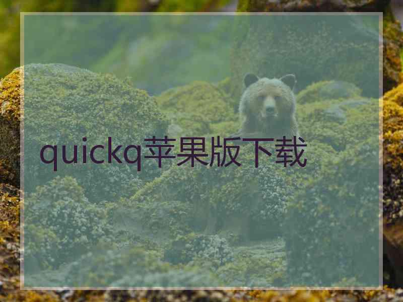 quickq苹果版下载