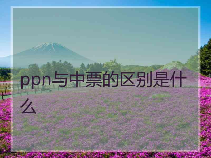 ppn与中票的区别是什么