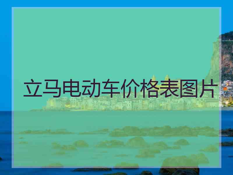 立马电动车价格表图片