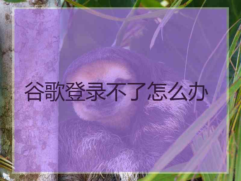 谷歌登录不了怎么办