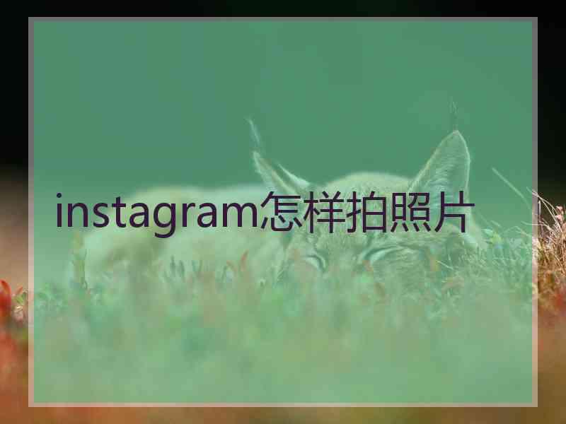 instagram怎样拍照片