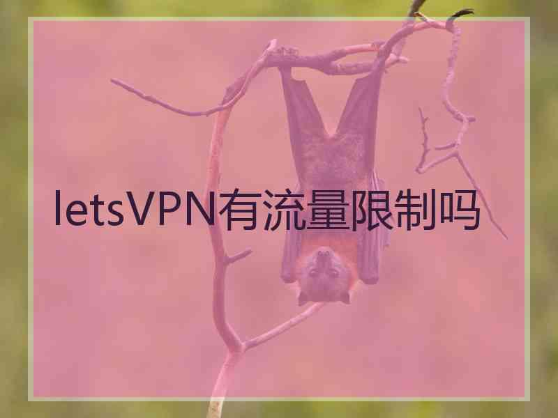 letsVPN有流量限制吗