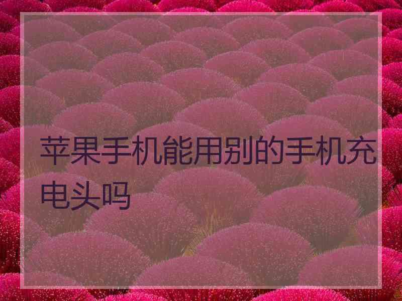 苹果手机能用别的手机充电头吗