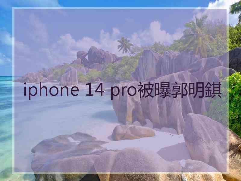 iphone 14 pro被曝郭明錤