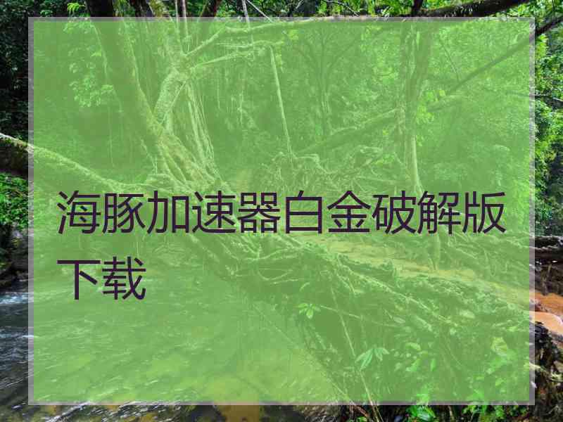 海豚加速器白金破解版下载