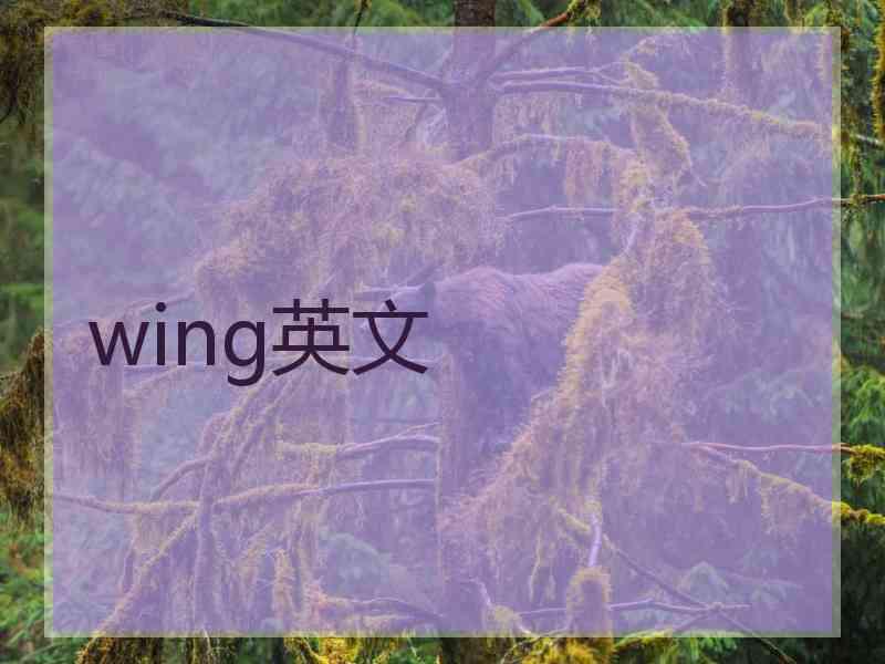 wing英文