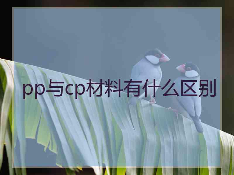 pp与cp材料有什么区别