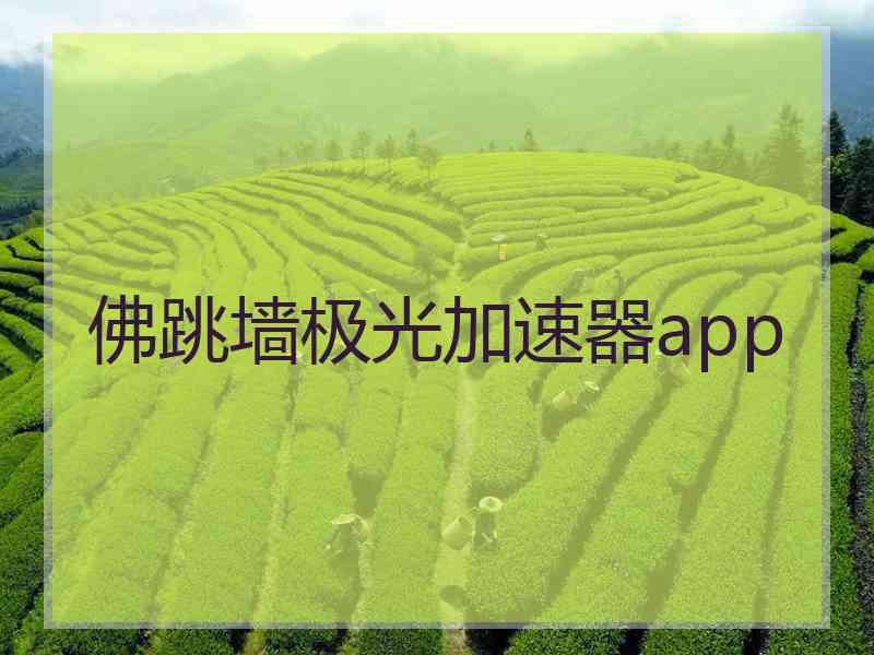 佛跳墙极光加速器app