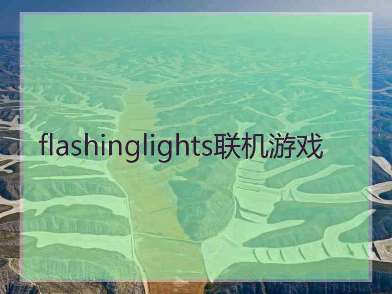 flashinglights联机游戏