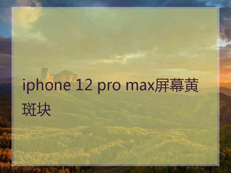 iphone 12 pro max屏幕黄斑块