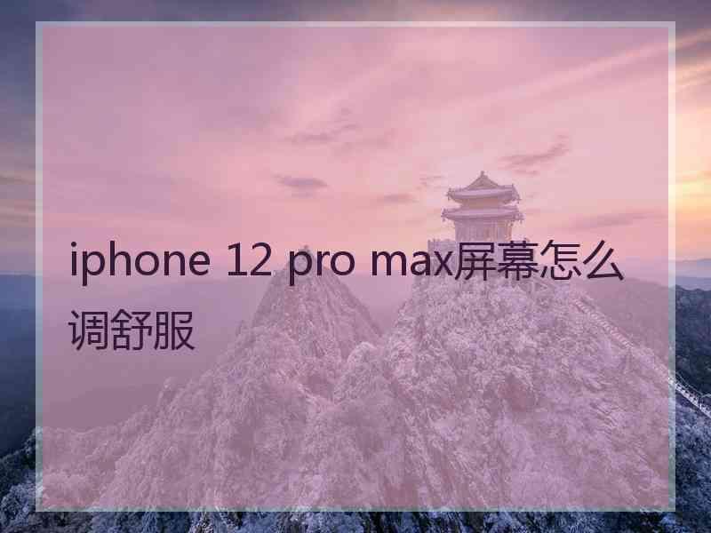 iphone 12 pro max屏幕怎么调舒服