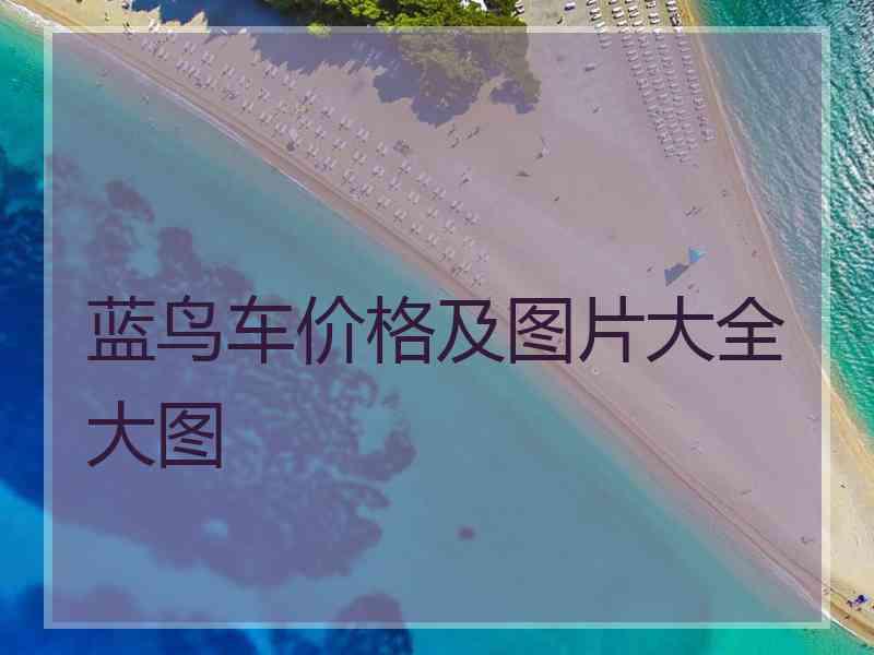 蓝鸟车价格及图片大全大图