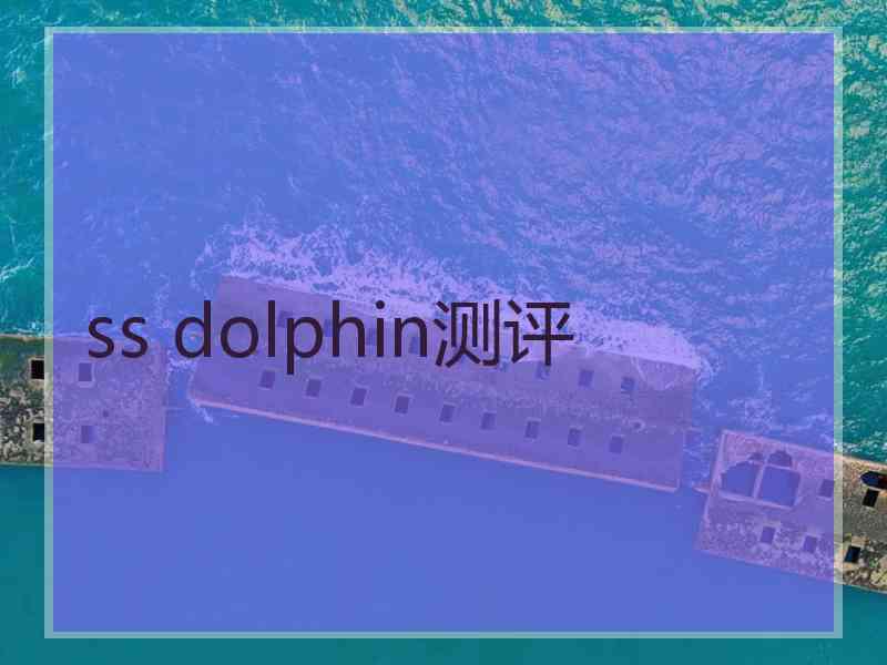 ss dolphin测评