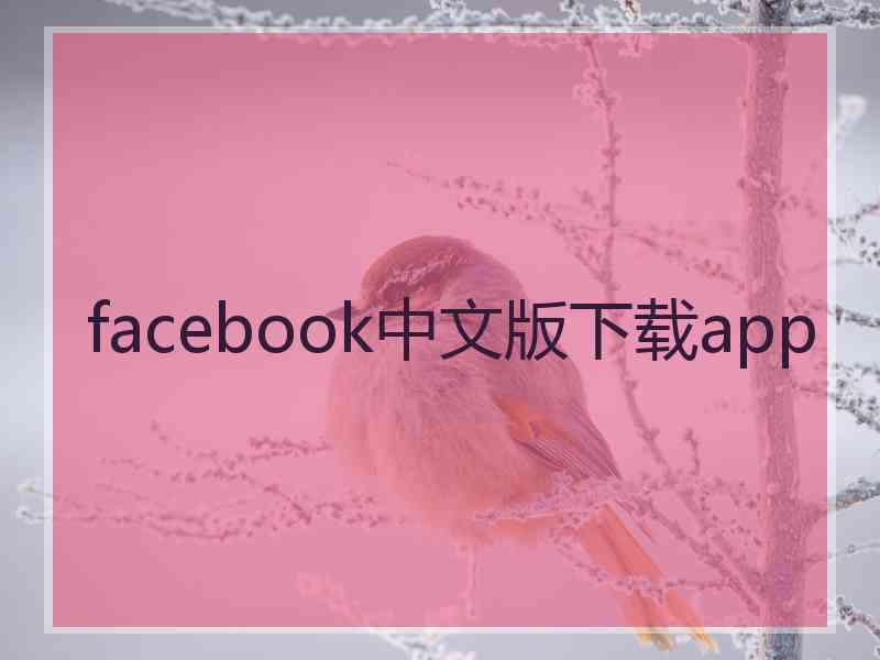 facebook中文版下载app