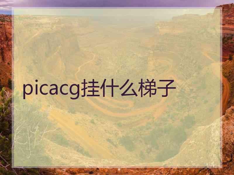 picacg挂什么梯子